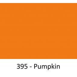 395 pumpkin.jpg