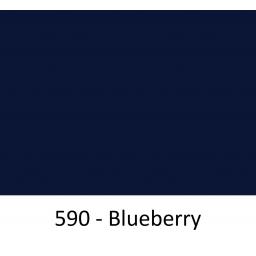 590 - Blueberry.jpg