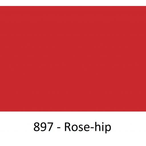 897 - Rose-hip.jpg