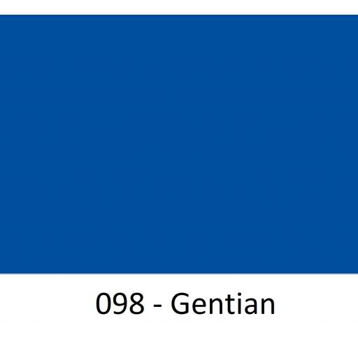 098 - Gentian.jpg